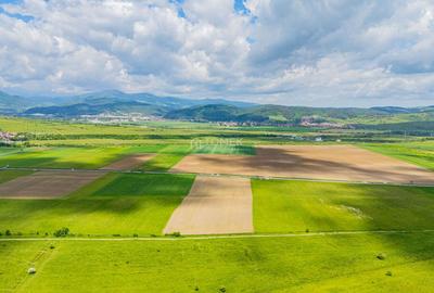 Teren de investiție în zona Tohanul Nou - Bran  5.800 mp - 1
