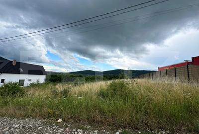 Teren Construcții intravilan de 2500 mp, în Viișoara