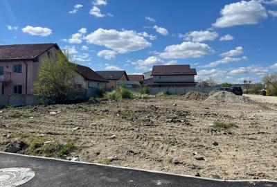 Teren Construcții intravilan de 1880 mp, în Lascăr Catargiu