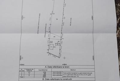 Casa - Vila | Purcareni Micesti Arges | S+P+1+M| teren 4900mp | Livada - 11