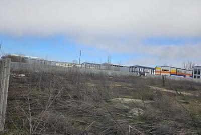 2500 mp teren industrial   stradal Popesti Leordeni - 4