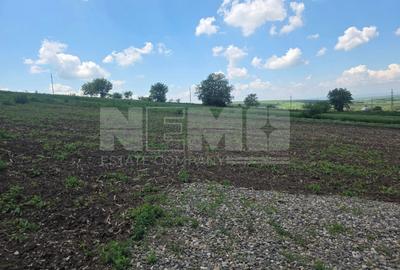 TEREN INTRAVILAN | SFÎNTU ILIE, SUCEAVA | 40.000 €/parcelă - 4