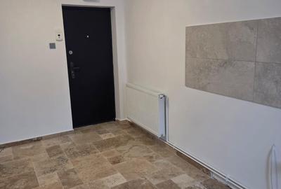 Apartament  2 Camere,  Parter Inalt, recent renovat, zona Calea Bucuresti - 2