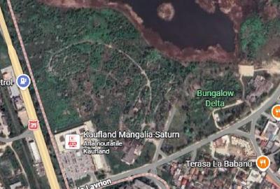 Teren agricol intravilan de 5000 mp, în Est