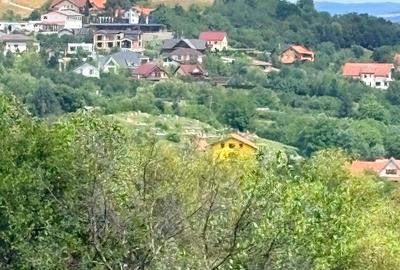 VAND 1648 MP TEREN CU PUZ CISNADIOARA - 1