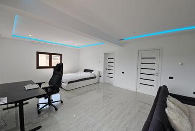 Vila lux P+E 2021 Central-Mosnita noua - 4