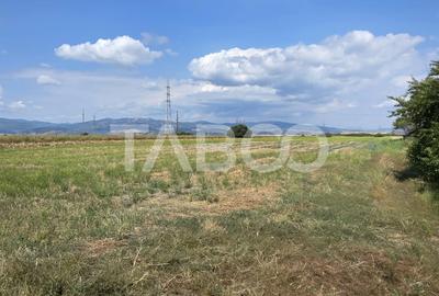 Teren industrial de vanzare pe Drumul vechi al Pianului - 4
