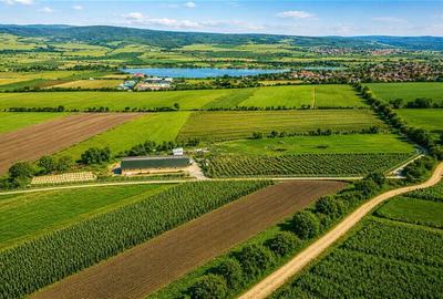 Teren agricol extravilan de 18000 mp, în Rotbav