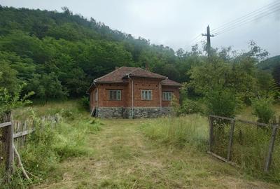 Teren, padure si casa in Dumbrava de Jos, jud. Hunedoara - 2