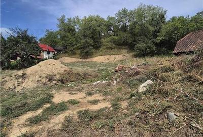 Teren intravilan pentru investitie turistica, 4000 mp, langa Club Vila Bran cu p - 5