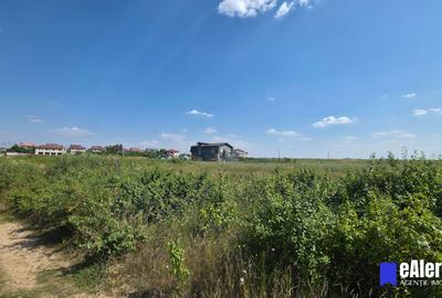 Teren 855 mp, lângă grădinița Zori de Zi, Mogoșoaia, complex 31 de case - 3