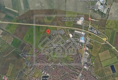 Teren Construcții intravilan de 6500 mp, în Veterani