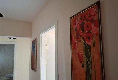 Apartament cu Centrala Iulius Mall - 22