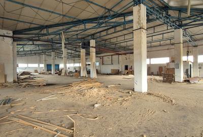 Spațiu Industrial și Logistic - 3