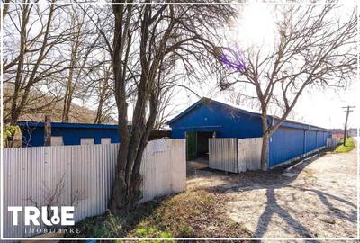 Hală de producție și depozitare - Voiniceni, Mureș - 5