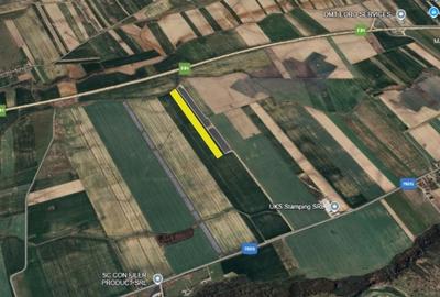 Teren Construcții intravilan de 50000 mp, în Căteasca