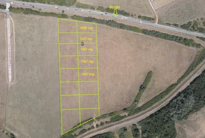 Teren Construcții intravilan de 1567 mp, în Moșnița Nouă