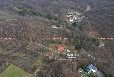 TEREN INTRAVILAN – TĂUȚII-MĂGHERĂUȘ  Lângă Cabana Apa Sărată - 3