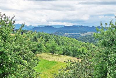 Teren de 1000mp in Bran, satul pitoresc Pestera - 6