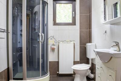 Vila spatioasa pt doua familii 10 camere Clinceni Monumentul Eroilor - 22