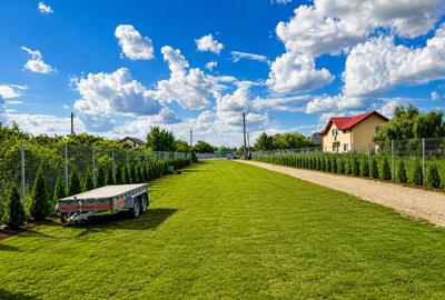 Oportunitate de Investitie|Hala 240mp+teren4000mp|Crevedia Buftea| - 4