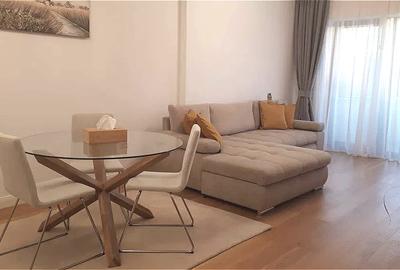 Apartament 2 Camere | Doua Terase | Parcare | Zona Herastrau - 2