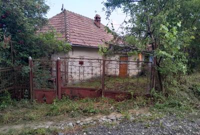 Casă bătrânească plus teren 9515 mp. Sălătrucel sat Serbănesti - 4