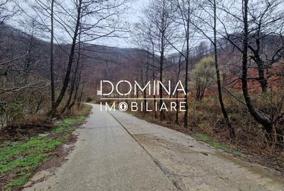 Vânzare teren,  situat în  Comuna Peștișani , sat Gureni - zonă de munte - 3