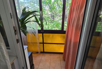 Apartament cu 2 camere Dambu Pietros - 12
