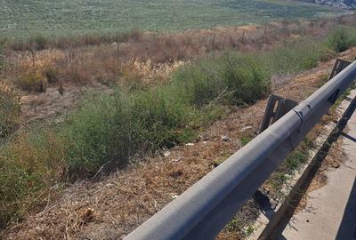 TEREN INTRAVILAN 20 HA ÎN LAZU – ZONĂ INDUSTRIALĂ, ÎN PROXIMITATEA A4 | DESCHIDE - 2