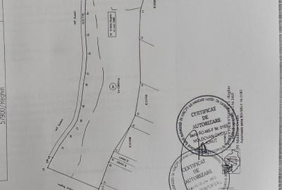 Teren de vânzare 30.000 mp oportunitate investiție - 3