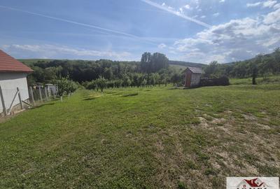 Teren intravilan (2292mp) de vanzare in Vintu de Jos - 4