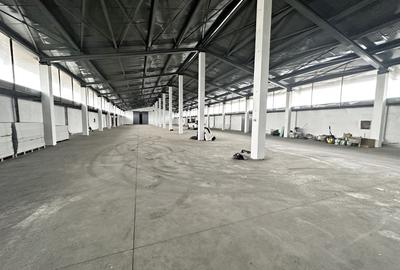 Spațiu industrial, de 5,900.00 mp, în Exterior Vest