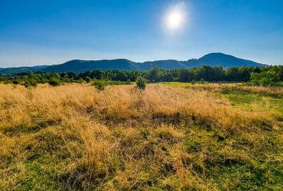 Teren de vânzare – Râșnov, zona Glejerie | 1.300 mp | Vedere spre Munții Bucegi - 5