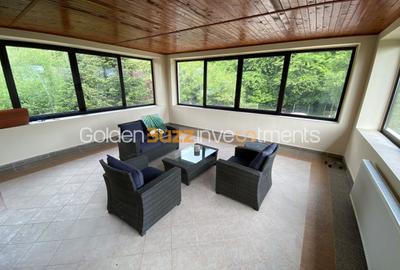 Vila superba - 7 camere - vanzare - Iancu Nicolae - Padurea Baneasa - 9
