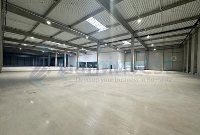 Spațiu industrial, de 2,500.00 mp, în Biharia