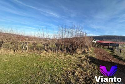 Teren intravilan 1080 mp in Rasinari - 7