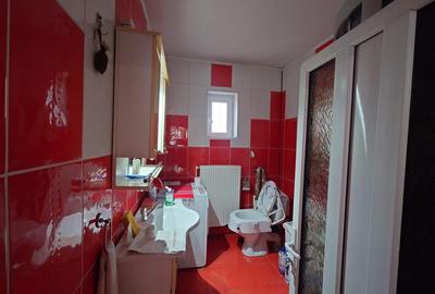 Casa si Teren Brad la drum european - 14