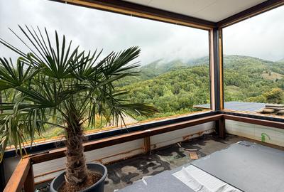 PROPRIETATE PREMIUM | 125 MP | TERASĂ 125 MP | TEREN 20 ARI - 3