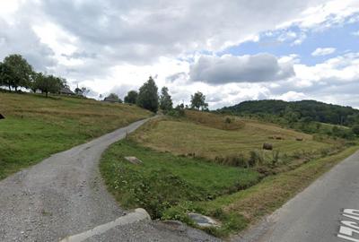 Teren Construcții intravilan de 12000 mp, în Roșia