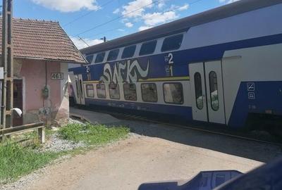 Casa familiala cu gospodarie,teren 60 arii,cătun Ploscoș, 0 comision! - 16