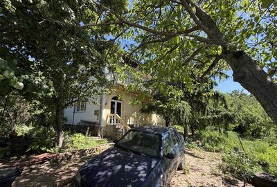 Casă individuală cu 2 camere în Vișani