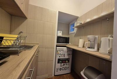 Apartament 2 camere Ultracentral Universitate - 13