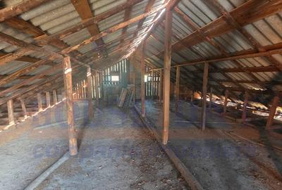 Vanzare teren 2543 mp cu constructie la gri, Buftea-Sabareni - 9