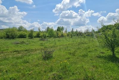 Teren 1500 mp pe str Paltinului, Valea Ghinzii , extravilan Bistrita - 4