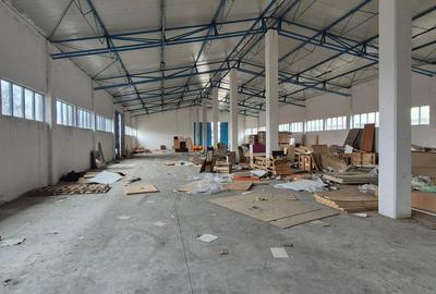 Spatii industriale 1.5Eur/mp - 3