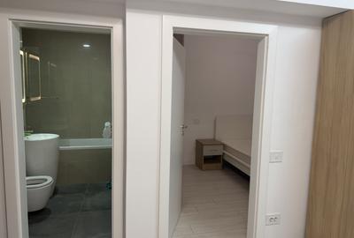 Apartament tip studio, mobilat/ utilat, sos viilor - 3