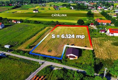 Acuma ai ocazia sa cumperi un teren aproape de Baia Mare sub 1000E/ar - 4