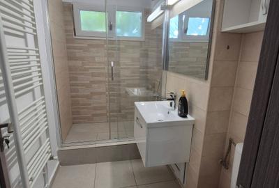 Apartament cu 2 camere decomandat în Brazda lui Novac