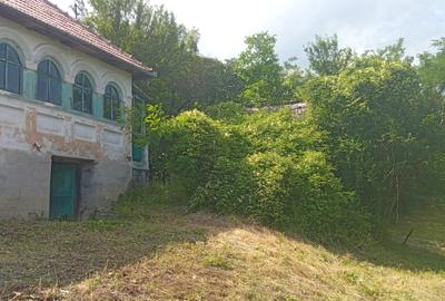 Casă bătrânească plus teren 9515 mp. Sălătrucel sat Serbănesti - 1